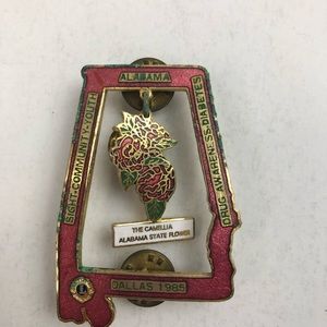 Lions Club Pins - Al1985 Drug Awarene Diabetes Pin